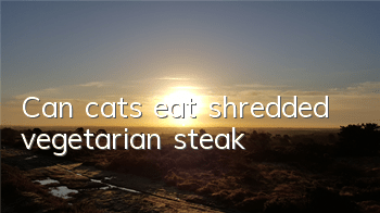 Can cats eat shredded vegetarian steak?