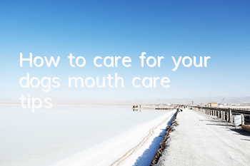 How to care for your dog’s mouth care tips