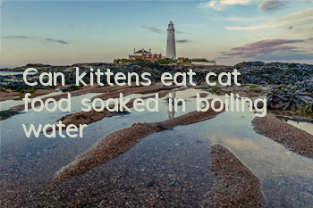 Can kittens eat cat food soaked in boiling water?