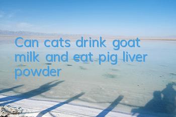 Can cats drink goat milk and eat pig liver powder?