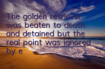 The golden retriever was beaten to death and detained, but the real point was ignored by everyone.
