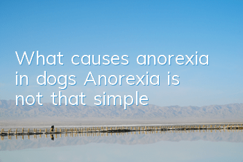 What causes anorexia in dogs? Anorexia is not that simple