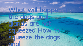 What will happen if the dog's anal glands are not squeezed? How to squeeze the dog's anal glands