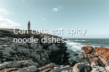 Can cats eat spicy noodle dishes?
