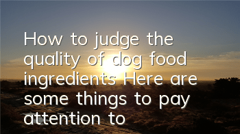 How to judge the quality of dog food ingredients? Here are some things to pay attention to