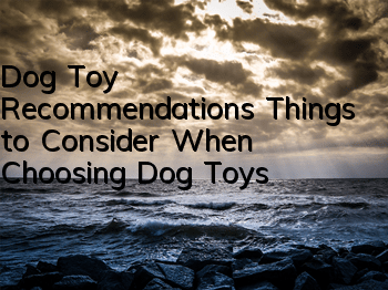 Dog Toy Recommendations Things to Consider When Choosing Dog Toys
