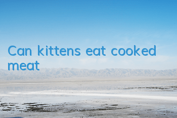 Can kittens eat cooked meat?