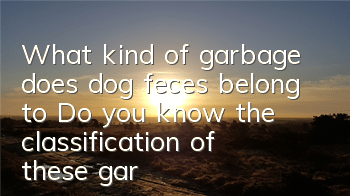 What kind of garbage does dog feces belong to? Do you know the classification of these garbage?