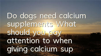 Do dogs need calcium supplements? What should you pay attention to when giving calcium supplements to dogs?