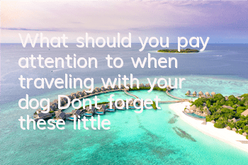 What should you pay attention to when traveling with your dog? Don’t forget these little things