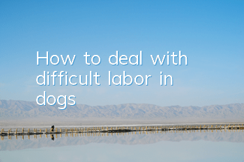 How to deal with difficult labor in dogs