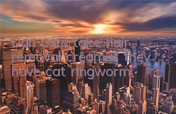 Can cats take hair removal cream if they have cat ringworm?