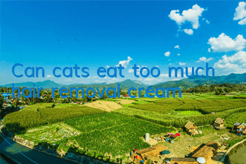 Can cats eat too much hair removal cream?