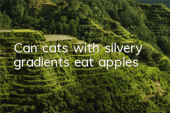 Can cats with silvery gradients eat apples?
