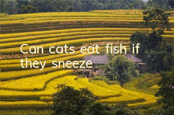 Can cats eat fish if they sneeze?