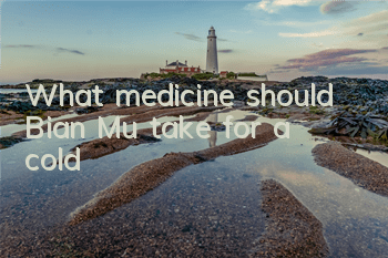 What medicine should Bian Mu take for a cold?