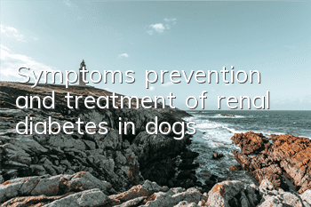 Symptoms, prevention and treatment of renal diabetes in dogs