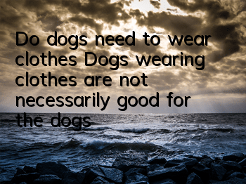 Do dogs need to wear clothes? Dogs wearing clothes are not necessarily good for the dogs!