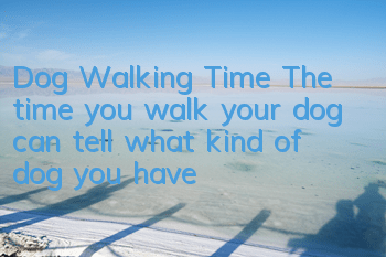Dog Walking Time The time you walk your dog can tell what kind of dog you have!