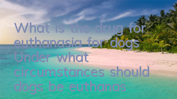 What is the drug for euthanasia for dogs? Under what circumstances should dogs be euthanasia?