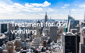 Treatment for dog vomiting