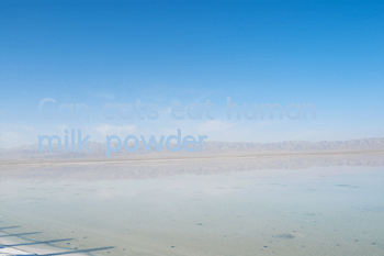 Can cats eat human milk powder?