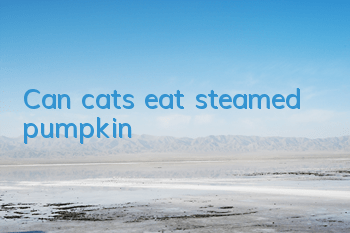 Can cats eat steamed pumpkin?