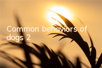 Common behaviors of dogs (2)