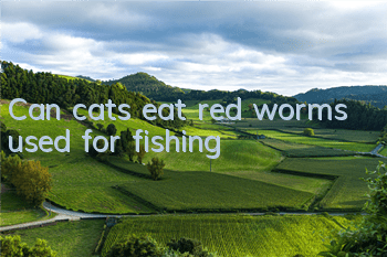 Can cats eat red worms used for fishing?