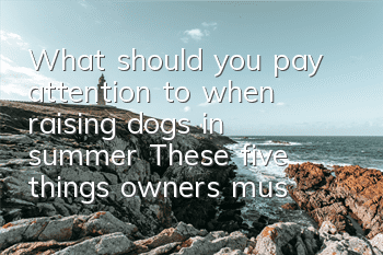What should you pay attention to when raising dogs in summer? These five things owners must know