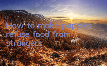 How to make puppies refuse food from strangers?