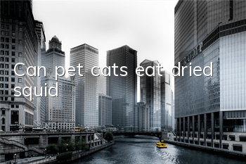 Can pet cats eat dried squid?
