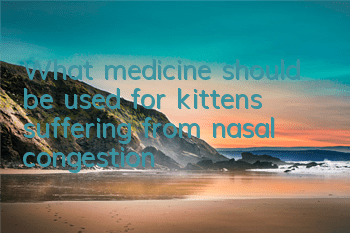 TWhat medicine should be used for kittens suffering from nasal congestion?