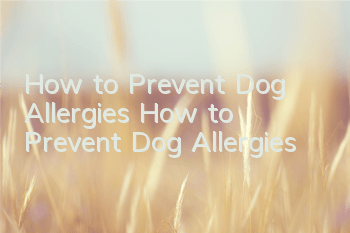 How to Prevent Dog Allergies How to Prevent Dog Allergies