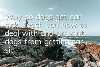 Why do dogs get car sick? Teach you how to deal with and prevent dogs from getting car sick in season