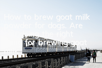 How to brew goat milk powder for dogs. Are you doing the right thing for brewing goat milk powder for dogs?
