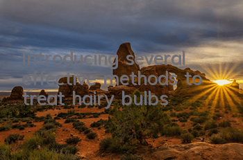 TIntroducing several effective methods to treat hairy bulbs