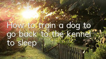 How to train a dog to go back to the kennel to sleep
