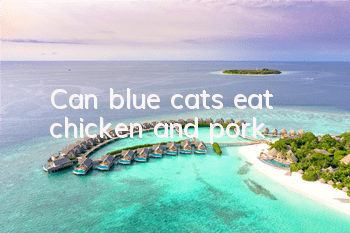 Can blue cats eat chicken and pork?