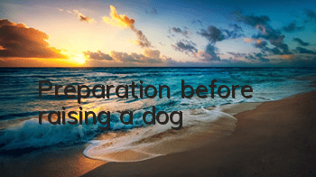 Preparation before raising a dog