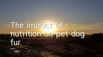 The impact of nutrition on pet dog fur