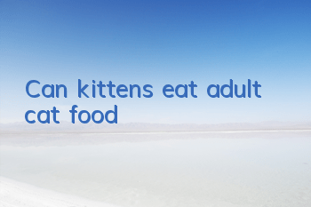 Can kittens eat adult cat food?