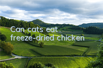Can cats eat freeze-dried chicken?