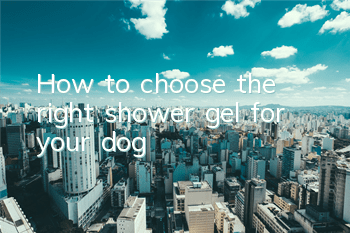How to choose the right shower gel for your dog?