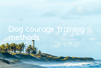 Dog courage training methods