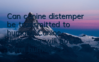 Can canine distemper be transmitted to humans? Canine distemper will not harm humans!