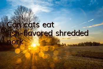 Can cats eat fish-flavored shredded pork?