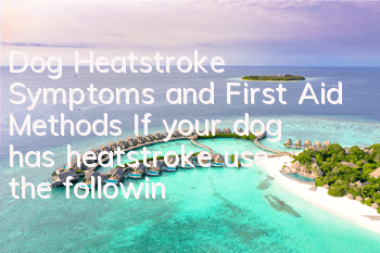 Dog Heatstroke Symptoms and First Aid Methods If your dog has heatstroke, use the following methods to cool down!