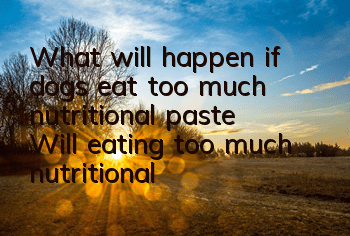 What will happen if dogs eat too much nutritional paste? Will eating too much nutritional paste be harmful?