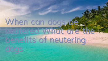 When can dogs be neutered? What are the benefits of neutering dogs?
